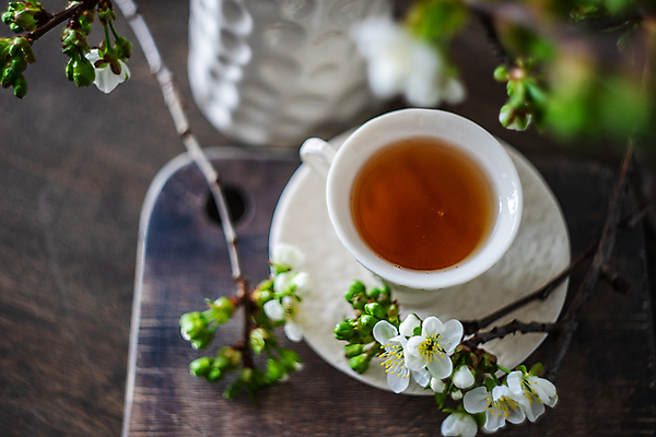 포토 JPG 해외이미지 무료이미지 꽃 사람없음 벚꽃 찻잔 카피스페이스 해외202007 해외202105 해외포토 식물 잔 공백 파일형식