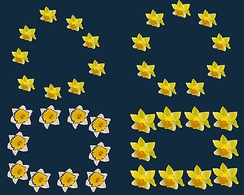 EPS 해외이미지 식물 템플릿 디자인 배너 계절 꽃잎 꽃 줄기 꽃다발 백그라운드 잎 꽃무늬 일러스트 자연 부활절 미술 장식 초록색 여름 노란색 정원 봄 벚꽃 흰색 신용카드 개화 우아함 수선화 내추럴 고립 해외202007 해외일러스트 기념일 컬러 컨셉 무늬 문화예술 금융 생태계 파일형식 벡터