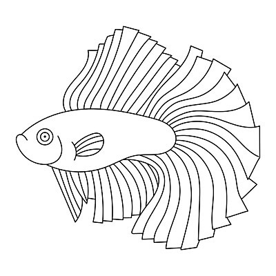 EPS 해외이미지 동물 디자인 남자 실루엣 음식 바다 백그라운드 패턴 일러스트 태국 자연 낚시 저울 어류 미술 그래픽 장식 빨간색 물 파란색 컬러풀 검은색 수중 수영 흰색 흰배경 그림 생물학 꼬리 싸움 베트남 지느러미 수족관 수탉 고립 엘리먼트 이국적 몽환 해외202007 해외일러스트 자연요소 교육 아시아 컬러 컨셉 무늬 모션 레저 문화예술 촬영기법 사람 동남아시아 수중동물 수상스포츠 닭 수컷 생태계 파일형식 벡터