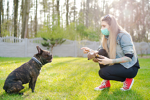 포토 JPG 해외이미지 라이프스타일 공원 여자 유럽 컨셉 건강 마스크 한명 안전 사람 성인 야외 정원 바이러스 개 예방 불독 내추럴 위생관리 전염병 의료성형뷰티 성인여자한명만 코로나바이러스 포스트코로나 해외202007 델타변이바이러스 해외포토 1 공공시설 나라 포유류 관리 생활 질병 사회이슈 여자한명만 성인여자만 파일형식