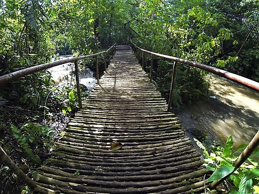 포토 JPG 해외이미지 나무 식물 공원 아시아 길 호수 밧줄 여행 백그라운드 잎 자국 태국 자연 휴가 산 매달리기 풍경 사람없음 야외 목재 초록색 물 여름 강 여행객 환경 봄 산책 트래킹 폭포 개울 숲 오솔길 내추럴 방법 옛날 전국 해외202007 해외포토 자연요소 계절 공공시설 나라 줄 컬러 재료 모션 레저 휴식 사람 생태계 파일형식