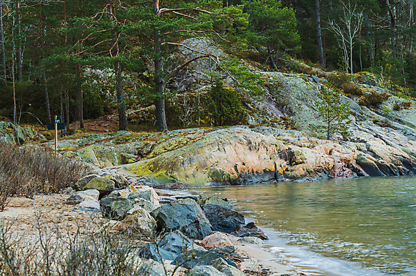 포토 JPG 해외이미지 나무 전통 꽃 호수 분홍색 여행 밭 자연 하늘 산 주택 노르웨이 풍경 사람없음 목재 빨간색 초록색 여름 황무지 숲 제비꽃 언덕 스칸디나비아 절정 해외202007 해외포토 식물 계절 유럽 컬러 농업 재료 건물 생태계 파일형식
