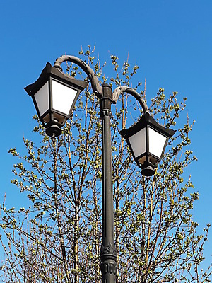 포토 JPG 해외이미지 나무 무료이미지 공원 하늘 아침 조명 거리 사람없음 빛 봄 등불 도시 정사각형 해외202007 해외202105 해외포토 주간 도형 식물 계절 공공시설 파일형식