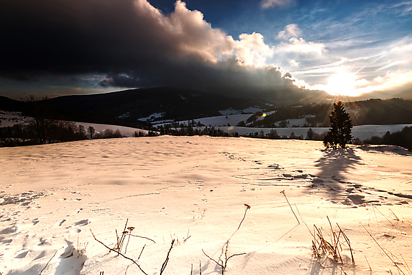 포토 JPG 해외이미지 나무 구름 계절 유럽 여행 겨울 자연 하늘 날씨 산 국립공원 풍경 사람없음 야외 태양 일출 환경 추위 광선 눈송이 황무지 숲 언덕 서리 폴란드 내추럴 깊이 절정 폭설 폭풍우 눈내림 해외202007 해외포토 자연요소 식물 공원 나라 눈_날씨 노을 비_날씨 자연재해 생태계 파일형식