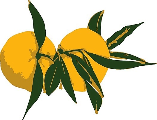 EPS 해외이미지 음식 조각 백그라운드 잎 다이어트 오렌지 과일 일러스트 재료 부분 자연 디저트 귤 건강 초록색 여름 노란색 주스 흰색 신선 원형 그룹 달콤 맛 정상 피부 오브젝트 유기농 날것 비타민 내추럴 고립 숙성 채식주의자 해외202007 깎기 해외일러스트 도형 식물 웰빙 계절 음료 컬러 컨셉 모션 신체부위 생태계 채식 영양소 파일형식 벡터