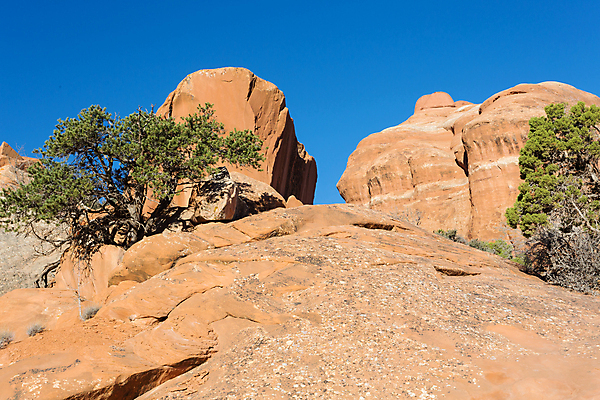 포토 JPG 해외이미지 공원 모래 자국 하늘 산 건조 국립공원 풍경 사람없음 빨간색 파란색 강 골짜기 미국 목장 오픈 파편 아치 암초 멀리 내추럴 고고학 세이지 콜로라도 막 해외202007 해외포토 공공시설 교육 컬러 북아메리카 자연 파일형식