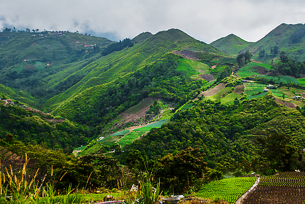포토 JPG 해외이미지 구름 무료이미지 공원 여행 백그라운드 자연 하늘 산 풍경 사람없음 야외 초록색 파란색 세계 운동 트래킹 정상 고도 오르막 말레이시아 내추럴 해외202007 해외202105 해외포토 자연요소 공공시설 아시아 컬러 레저 건강 생태계 파일형식