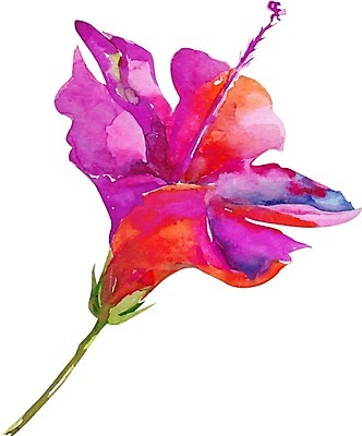 EPS 해외이미지 식물 손 디자인 공원 꽃 결혼 백그라운드 잎 꽃무늬 오렌지 일러스트 자연 수채화 미술 장식 물 여름 정원 봄 수확 벚꽃 흰색 개화 그림 고립 해외202007 해외일러스트 자연요소 계절 공공시설 컬러 무늬 농업 과일 문화예술 이벤트 신체부위 생태계 파일형식 벡터