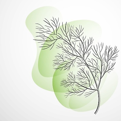 EPS 해외이미지 나무 식물 1 전통 디자인 음식 줄기 백그라운드 잎 크리스마스 꽃무늬 농업 일러스트 자연 휴가 파슬리 요리 미술 초록색 흰색 나뭇가지 신선 고명 양념 정상 스케치 허브 향신료 유기농 향 고립 딜 엘리먼트 회향 해외202007 해외일러스트 웰빙 기념일 꽃 산업 컬러 무늬 채소 문화예술 생태계 향미료 파일형식 벡터