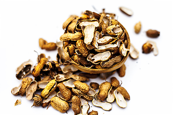 포토 JPG 해외이미지 식물 음식 백그라운드 다이어트 재료 자연 건조 건강 씨앗 사람없음 갈색 쌓기 바구니 견과류 껍질 흰색 원숭이 그룹 닫기 맛 굽기 오브젝트 유기농 완두콩 알맹이 날것 땅콩 흙더미 내추럴 고립 땅바닥 해외202007 해외포토 웰빙 컬러 컨셉 포유류 모션 콩 바닥 흙 구이 생태계 파일형식 더미