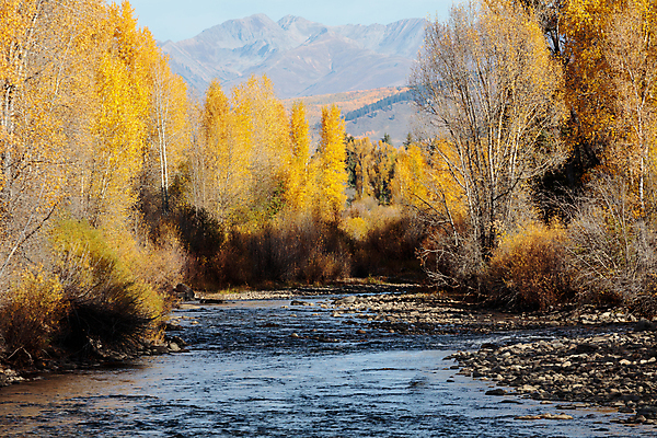 포토 JPG 해외이미지 구름 여행 잎 자연 하늘 날씨 산 풍경 사람없음 야외 파란색 노란색 일출 일몰 가을 숲 지역 내추럴 콜로라도 해외202007 해외포토 자연요소 식물 계절 컬러 노을 미국 생태계 파일형식