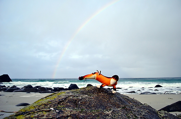 포토 JPG 해외이미지 동물 라이프스타일 스포츠 파도 바다 섬 여행 무지개 자연 하늘 휴가 사람 풍경 사람없음 야외 물 여름 파란색 태양 땅 서퍼 고체 꼭두각시 수평선 해외202007 해외포토 자연요소 계절 컬러 운동선수 생활 생태계 파일형식