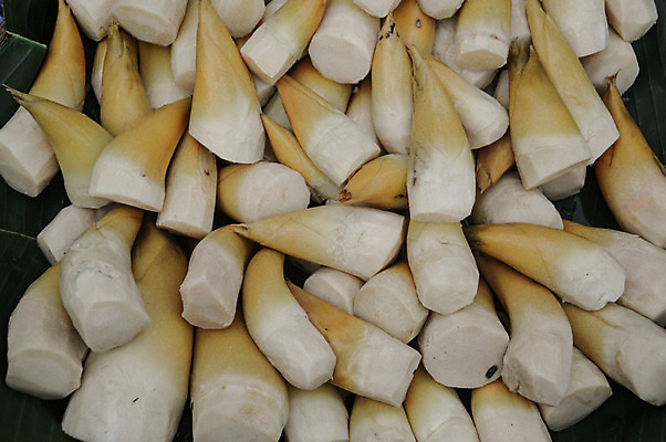 포토 JPG 해외이미지 식물 전통 아시아 음식 백그라운드 농업 채소 재료 자연 건강 요리 동양인 사람없음 노란색 새싹 수확 흰색 신선 시장 대나무 유기농 질감 날것 라오스 내추럴 식용 채식주의자 비건 해외202007 해외포토 나무 웰빙 나라 산업 컬러 인종 생태계 채식 파일형식