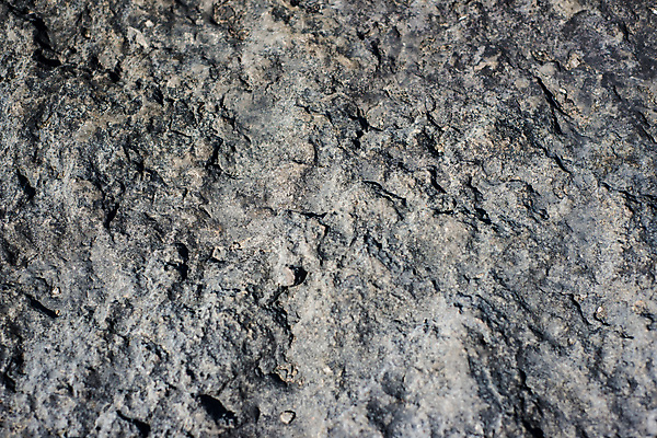 포토 JPG 해외이미지 외관 벽 백그라운드 패턴 자연 표면 날씨 추상 사람없음 거친 플랫 질감 내추럴 고체 석회암 옛날 지질학 해외202007 해외포토 교육 무늬 암석 생태계 파일형식