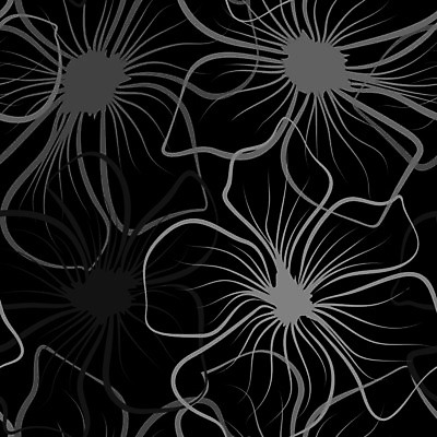 EPS 해외이미지 식물 템플릿 디자인 꽃잎 꽃 선 백그라운드 꽃무늬 패턴 일러스트 자연 벽지 표면 추상 미술 그래픽 장식 유행 검은색 봄 수확 흰색 직물 인쇄 심볼 타일 사인 그림 질감 복고 윤곽 기하학 내추럴 엘리먼트 포장소품 스타일 해외202007 해외일러스트 계절 컬러 무늬 농업 포장 문화예술 오브젝트 생태계 포장재료 파일형식 벡터