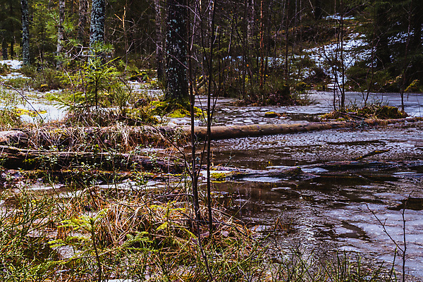포토 JPG 해외이미지 나무 계절 공원 호수 여행 백그라운드 잎 오렌지 자연 하늘 아침 산 풍경 사람없음 야외 목재 초록색 물 여름 파란색 빛 강 컬러풀 햇빛 태양 반사 노란색 환경 침묵 봄 가을 연못 황무지 떨어짐 숲 내추럴 해외202007 해외포토 주간 자연요소 식물 공공시설 컬러 컨셉 과일 재료 소리 생태계 파일형식