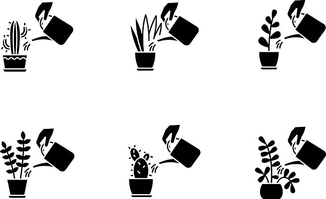 EPS 해외이미지 클립아트 식물 일러스트 실내 사람없음 장식 물 검은색 플랫 물주기 원예 심플 모종 묘목 해외202007 해외일러스트 자연요소 나무 컬러 모션 취미 내부 파일형식 벡터