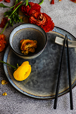 포토 JPG 해외이미지 식물 식기 접시 꽃 백그라운드 꽃무늬 탁자 사람없음 빨간색 초록색 세트 노란색 회색 시골 은색 설정 콘크리트 카피스페이스 해외202007 해외포토 컬러 가구 무늬 공백 파일형식