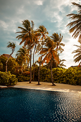 포토 JPG 해외이미지 나무 무료이미지 라이프스타일 바다 섬 여행 자연 하늘 휴식 수영장 풍경 사람없음 야외 물 여름 파란색 수영 신혼여행 휴양지 몰디브 이국적 파라다이스 해외202007 해외202105 해외포토 자연요소 식물 계절 아시아 컬러 결혼 컨셉 생활 장소 수상스포츠 생태계 파일형식