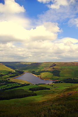 포토 JPG 해외이미지 나무 구름 유럽 밭 자연 하늘 영국 잉글랜드 풍경 사람없음 야외 초록색 물 환경 마시기 시골 저수지 황무지 땅 언덕 그림 해외202007 해외포토 자연요소 식물 나라 컬러 농업 모션 생태계 파일형식