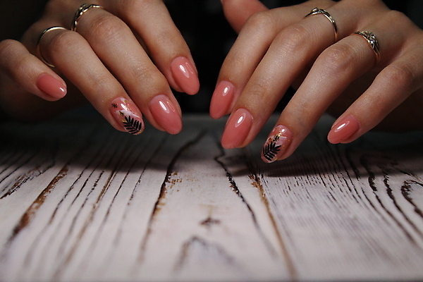 포토 JPG 해외이미지 무료이미지 손 근접촬영 신체부위 손톱관리 네일아트 손톱 해외202007 해외202105 해외포토 뷰포인트 사람 뷰티 파일형식