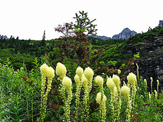 포토 JPG 해외이미지 사람없음 미국 폭포 빙하 사이클링 절정 해외202007 해외포토 북아메리카 자연 육상스포츠 파일형식