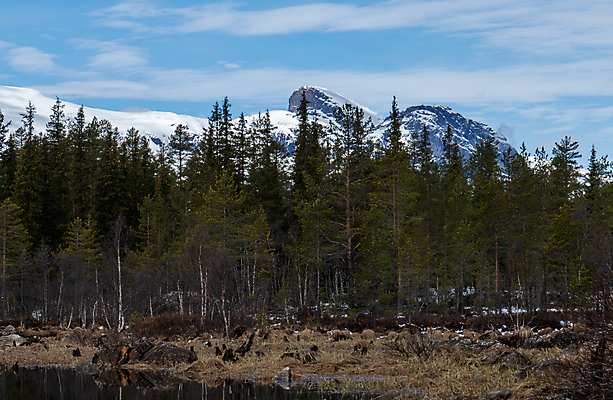 포토 JPG 해외이미지 유럽 여행 백그라운드 겨울 자연 하늘 호텔 휴가 스키 산 주택 파노라마 노르웨이 핀란드 풍경 경사 사람없음 강 마을 프랑스 바위 개울 오스트리아 야간 수증기 휴양지 산등성이 알프스 알래스카 샬레 스칸디나비아 절정 해외202007 해외포토 자연요소 계절 나라 숙소 겨울스포츠 촬영기법 실험기구 북유럽 건물 미국 장소 돌_바위 생태계 파일형식
