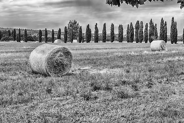 포토 JPG 해외이미지 식물 무료이미지 백그라운드 밭 농업 자연 하늘 건조 옥수수 풍경 초원 사람없음 야외 초록색 여름 파란색 농작물 농장 농경지 노란색 쌓기 일몰 수확 가을 시골 원형 황금 건초더미 볏짚 낟알 땅 밀 롤 뭉치 밀짚 내추럴 밭일 호밀 해외202007 해외202105 해외포토 도형 계절 산업 컬러 모션 곡류 노을 건초 짚 생태계 파일형식 더미 무료콘텐츠