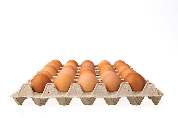 포토 JPG 해외이미지 동물 음식 재료 조류 부활절 건강 3 사람없음 갈색 계란 치킨 껍질 흰색 신선 그룹 아침식사 유기농 날것 내추럴 고립 단백질 암탉 해외202007 해외포토 웰빙 기념일 컬러 알 식사 닭 암컷 닭고기요리 영양소 파일형식