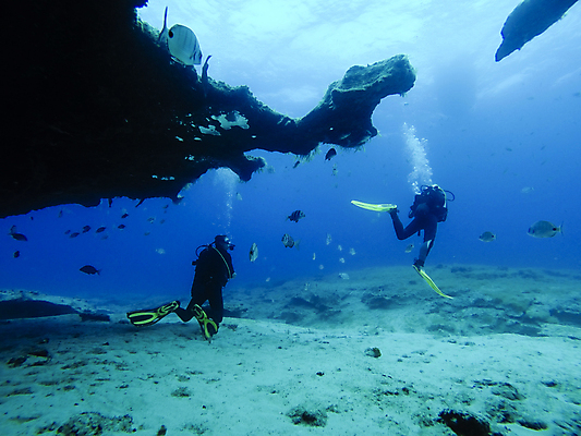 포토 JPG 해외이미지 손 스포츠 바다 섬 여행 학교 자연 풍경 두명 물 파란색 바닷속 수중 수영 거품 그룹 동굴 잠수부 땅 다이빙 암초 내추럴 깊이 파라다이스 해외202007 해외포토 자연요소 교육 컬러 사람 신체부위 수상스포츠 전문직 생태계 수중스포츠 파일형식