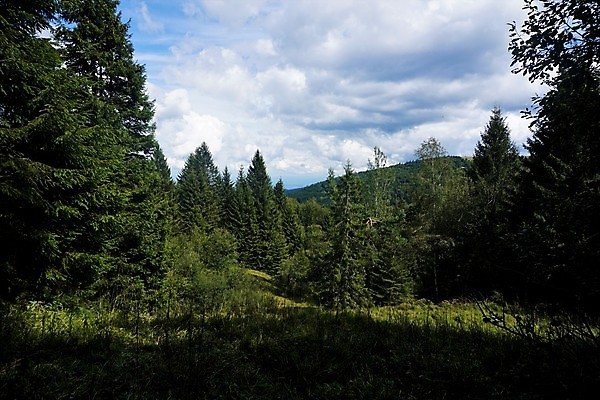 포토 JPG 해외이미지 나무 식물 구름 계절 자연 하늘 산 국립공원 풍경 사람없음 야외 목재 초록색 여름 빛 태양 환경 맑음 프랑스 황무지 숲 열대우림 언덕 환경보전 지역 보호구역 삼림지대 웅장함 해외202007 해외포토 자연요소 공원 유럽 컬러 재료 날씨 사회이슈 생태계 구역 파일형식