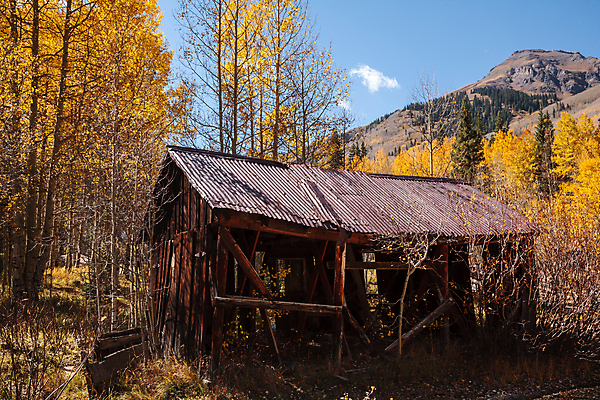 포토 JPG 해외이미지 구름 여행 잎 자연 하늘 날씨 산 풍경 사람없음 야외 초록색 파란색 태양 노란색 일출 일몰 가을 소나무 숲 지역 내추럴 콜로라도 해외202007 해외포토 자연요소 나무 식물 계절 컬러 노을 미국 생태계 파일형식