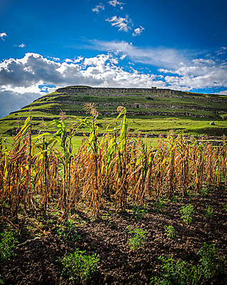 포토 JPG 해외이미지 나무 구름 문화 벽 하늘 산 사람없음 야외 초록색 파란색 빛 정원 미국 골동품 바위 사찰 남아메리카 역사 원주민 라틴아메리카 땅 조경 먼지 에콰도르 고고학 땅파기 옛날 잉카 파멸 해외202007 해외포토 자연요소 식물 교육 컬러 컨셉 북아메리카 종교건축 아메리카 돌_바위 아프리카인 파일형식 소멸