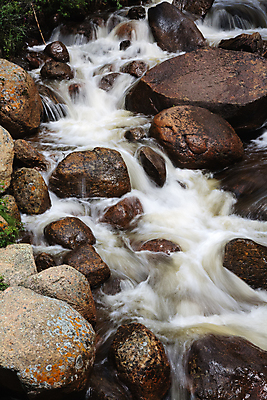 포토 JPG 해외이미지 나무 계절 오렌지 이끼 풍경 사람없음 초록색 물 여름 강 노란색 봄 폭포 젖음 흐름 가을 소나무 개울 급류 주식 숲 암초 콜로라도 해외202007 해외포토 자연요소 식물 컬러 컨셉 과일 자연 금융 미국 파일형식