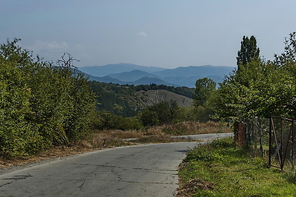 포토 JPG 해외이미지 나무 식물 계절 유럽 도로 여행 백그라운드 낙엽 잎 교통시설 자연 하늘 산 건조 풍경 사람없음 야외 초록색 빛 환경 활발 가을 숲 아스팔트 언덕 내추럴 강렬 불가리아 웅장함 절정 환상 해외202007 해외포토 나라 길 컬러 교통 컨셉 시설 생태계 파일형식 남유럽
