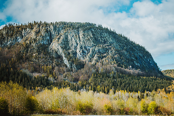 포토 JPG 해외이미지 나무 유럽 호수 여행 백그라운드 자연 하늘 산 노르웨이 풍경 경사 사람없음 야외 초록색 파란색 빛 환경 계곡 봄 하이킹 탐험 성장 바위 시골 신선 황무지 숲 언덕 부식 슬로프 내추럴 산악지대 스칸디나비아 지질학 해외202007 해외포토 식물 계절 교육 나라 컬러 레저 스키장 돌_바위 생태계 파일형식
