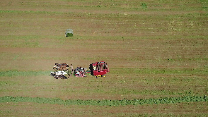 포토 JPG 해외이미지 식물 모자 전통 음식 밭 농업 자연 안테나 사람 풍경 사람없음 야외 초록색 농작물 농장 농경지 흙 수확 가을 시골 업무 당기기 농부 땅 복고 트랙터 드론 밭일 조감도 해외202007 해외포토 직업 잡화 계절 산업 컬러 통신 모션 작업 농기계 생태계 특수차량 파일형식