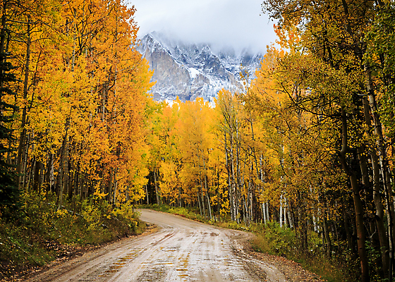 포토 JPG 해외이미지 구름 여행 잎 자연 하늘 날씨 산 풍경 사람없음 야외 초록색 파란색 태양 노란색 일출 일몰 가을 소나무 숲 지역 내추럴 콜로라도 해외202007 해외포토 자연요소 나무 식물 계절 컬러 노을 미국 생태계 파일형식