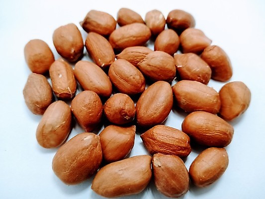 포토 JPG 해외이미지 음식 백그라운드 재료 자연 디저트 건조 건강 씨앗 사람없음 세트 갈색 펼침 견과류 지성 껍질 흰색 오픈 항아리 그룹 달콤 맛 아침식사 매끈함 굽기 먹기 크림 오브젝트 유기농 질감 날것 땅콩 칼로리 버터 내추럴 고립 꼬투리 단백질 해로움 맛있는 해외202007 해외포토 식물 웰빙 컬러 컨셉 모션 식사 도자기 감각 구이 생태계 영양소 파일형식