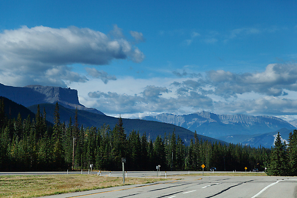 포토 JPG 해외이미지 나무 구름 공원 캐나다 자연 하늘 풍경 초원 사람없음 초록색 파란색 소나무 암초 북쪽 앨버타 해외202007 해외포토 자연요소 식물 공공시설 컬러 북아메리카 방향 생태계 파일형식