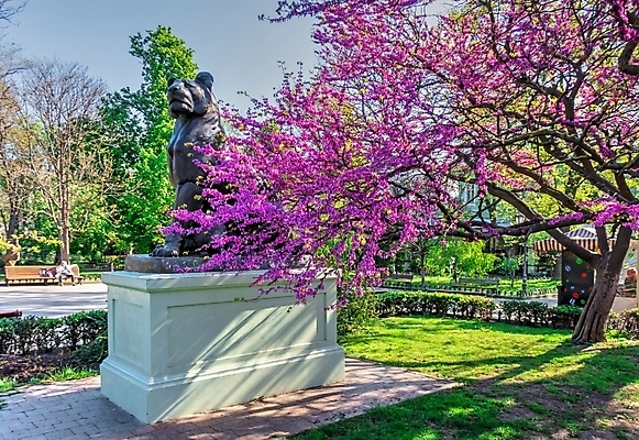 포토 JPG 해외이미지 나무 공원 유럽 여행 백그라운드 벤치 자연 하늘 휴식 사람없음 야외 여름 도시풍경 정원 봄 도시 오솔길 기념물 우크라이나 해외202007 해외포토 식물 계절 공공시설 나라 길 컨셉 의자 풍경 생태계 파일형식