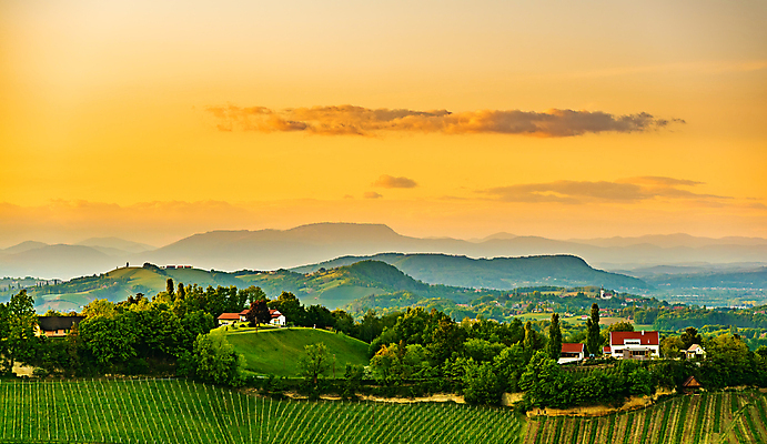 포토 JPG 해외이미지 유럽 여행 백그라운드 과일 자연 풍경 사람없음 초록색 여름 태양 농장 와인 일몰 봄 오스트리아 포도밭 포도나무 내추럴 양조장 해외202007 해외포토 자연요소 계절 나라 컬러 밭 농업 주류 노을 과일나무 생태계 파일형식