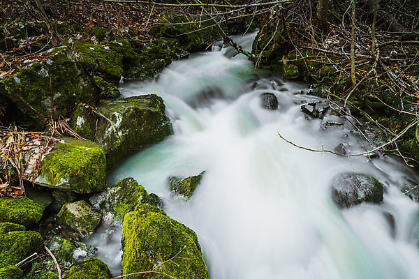 포토 JPG 해외이미지 나무 식물 공원 유럽 여행 백그라운드 모션 자연 벽지 산 노르웨이 이끼 풍경 사람없음 야외 목재 초록색 물 강 평화 환경 봄 폭포 젖음 흐름 가을 바위 개울 떨어짐 수증기 숲 내추럴 스칸디나비아 해외202007 해외포토 자연요소 계절 공공시설 나라 컬러 컨셉 재료 돌_바위 생태계 파일형식
