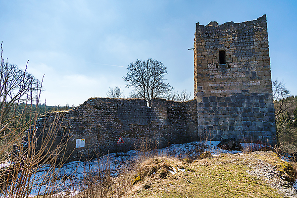 포토 JPG 해외이미지 나무 응시 여행 자연 산 풍경 초원 사람없음 야외 초록색 파란색 관광지 강 성 숲 지형 다뉴브강 해외202007 해외포토 식물 건축물 시선 컬러 생태계 파일형식