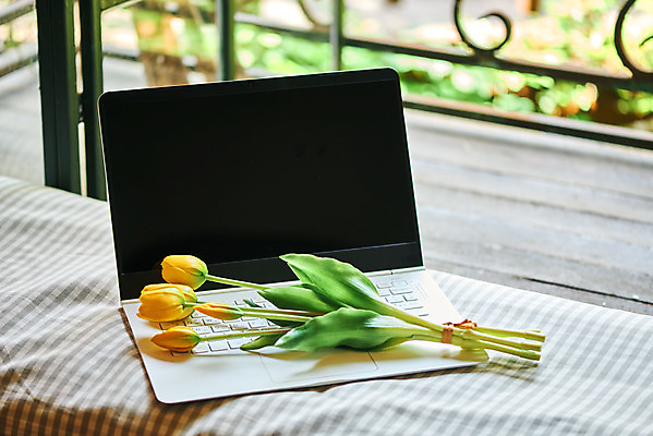 포토 JPG 식물 꽃 주택 실내 사람없음 노트북 컬러풀 튤립 발코니 오브젝트 감성 국내포토 컬러 컨셉 내부 건물 전자제품 파일형식