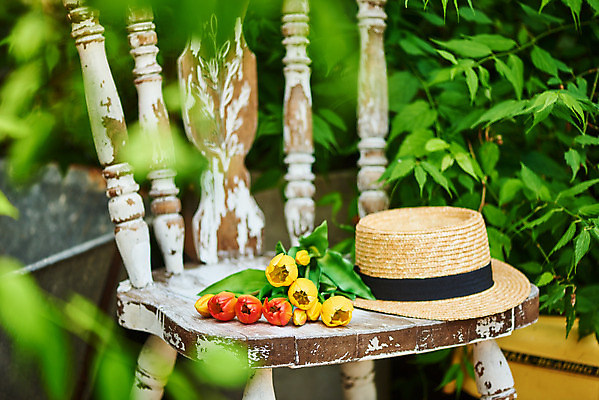 포토 JPG 주간 식물 모자 꽃 의자 사람없음 야외 아웃포커스 컬러풀 튤립 오브젝트 감성 국내포토 자연요소 잡화 컬러 가구 컨셉 촬영기법 파일형식