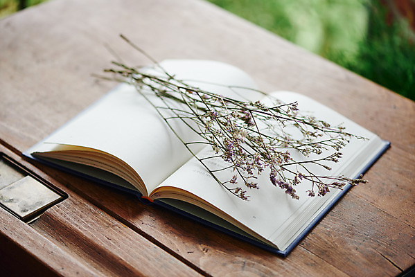 포토 JPG 꽃 실내 사람없음 책 갈색 책상 오브젝트 감성 드라이플라워 국내포토 식물 컬러 가구 컨셉 내부 파일형식