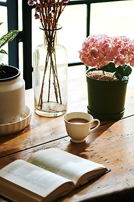 포토 JPG 식물 화분 화초 커피 실내 사람없음 책 컬러풀 커피잔 창가 책상 오브젝트 감성 수국 국내포토 꽃 음료 컬러 가구 컨셉 창문 잔 내부 파일형식