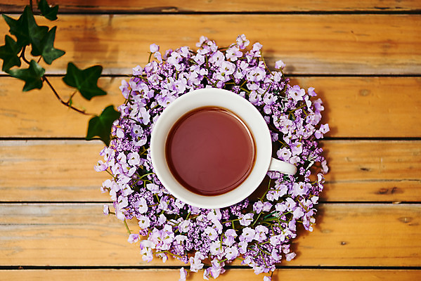 포토 JPG 주간 식물 꽃 커피 사람없음 야외 하이앵글 컬러풀 화관 커피잔 오브젝트 감성 국내포토 자연요소 음료 뷰포인트 컬러 컨셉 잔 파일형식