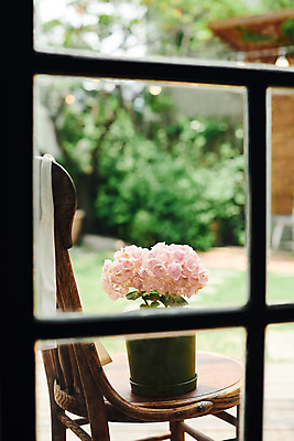 포토 JPG 주간 식물 꽃 화분 의자 사람없음 야외 창가 오브젝트 감성 수국 국내포토 자연요소 가구 컨셉 창문 파일형식